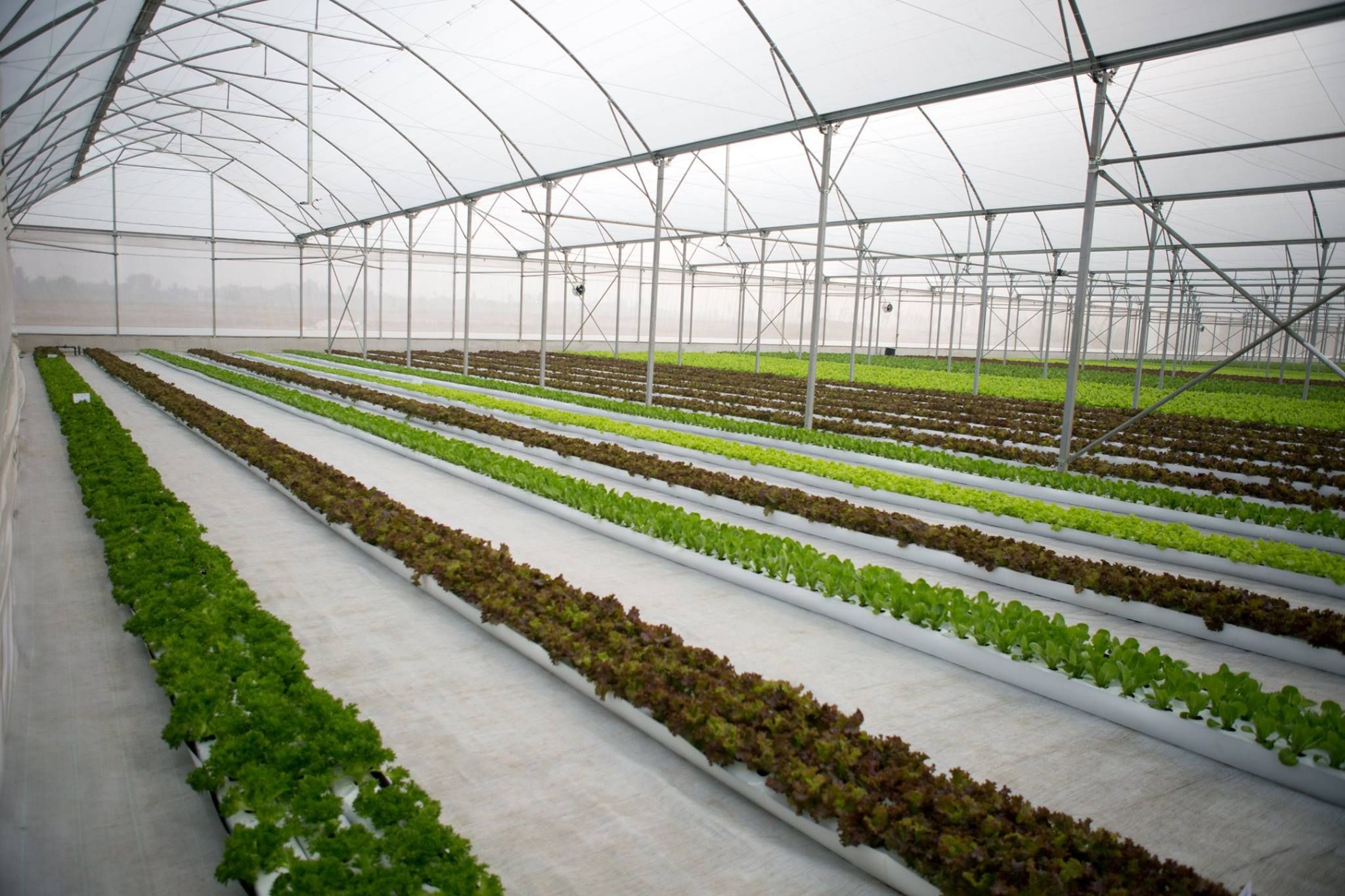 16463252 702014469965788 1296454714041546066 O