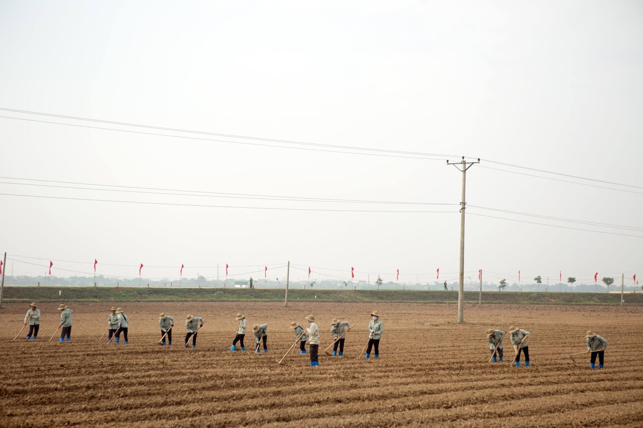 16664895 702014553299113 2707102321682509558 O